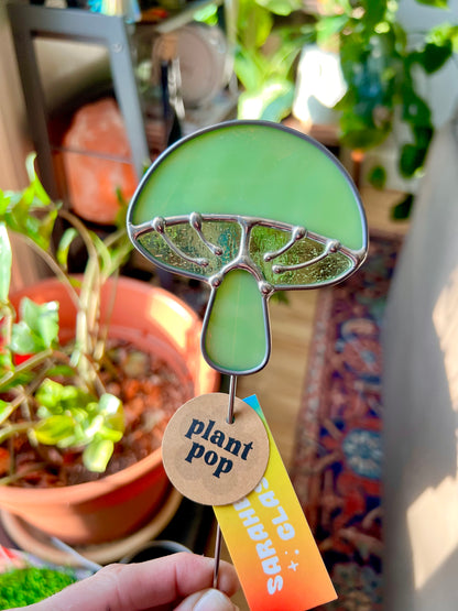 Mushroom Plant Pop